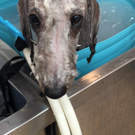 ▶︎初めてのマイクロバブルの画像