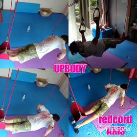 遺伝子レベルでマッスルメモリーは存在しているのか！？の画像