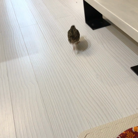 お久しぶりです!!の画像