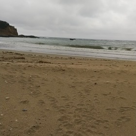 広田人て知らないよね？の画像