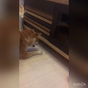 ちびモンスター？の画像