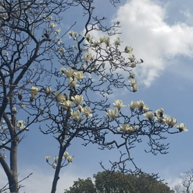 今、本来の自分に戻るとき。人生の統合地点と感じる方へ。の画像