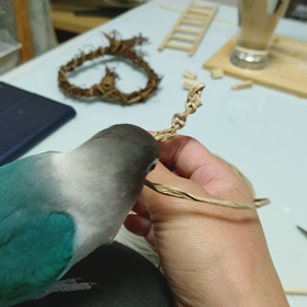 紙紐ブーム到来の画像