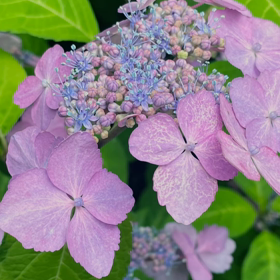 載せ忘れの画像