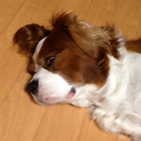 こ、怖い…の画像