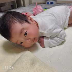 生後2ヶ月頃の腹ばいの画像