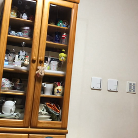 食器棚に乗る瞬間のデールちゃん！今日のジム！の画像