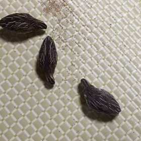 空中旋回❗の画像