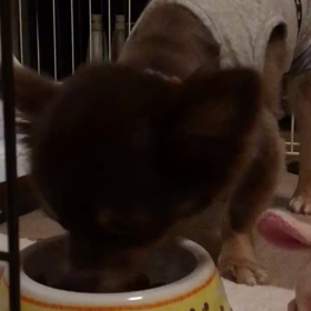 ☆もう 大丈夫☆の画像