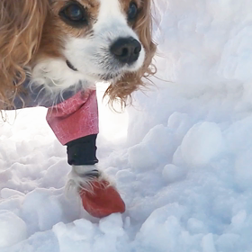 2021.1.31(日)の画像