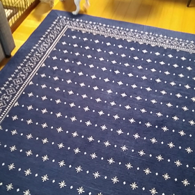 ハニーちゃんの画像