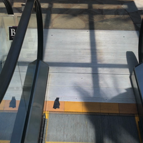 ハワイでメロディ出現wの画像