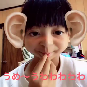 アホだけど可愛いの画像