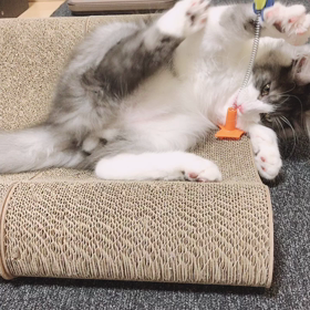 旦那さまの夢を私流に想像させたら…の画像