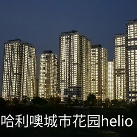 首尔蚕室哈利噢城市花园helio city租金买卖中介。の画像