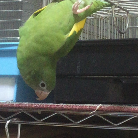 ”FF好きですか？それともDQ派ですか？”の画像