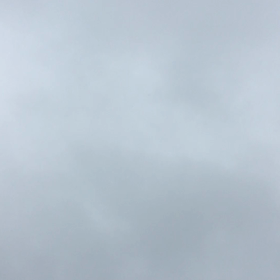 Report 動画 1の画像