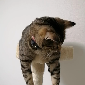 STAND BY ME ドラえもん2。の画像