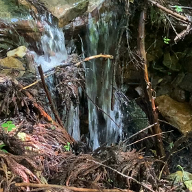 2022・06・10 小川の画像