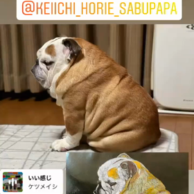 心のこもった贈り物！の画像
