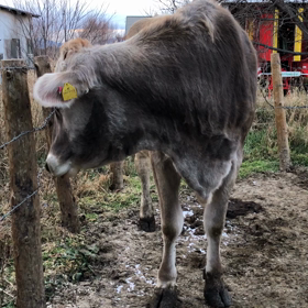 もぐもぐの画像