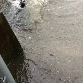 おおあめ。の画像