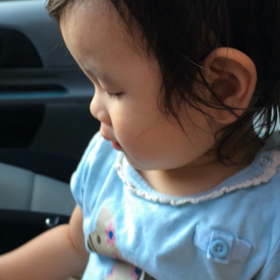 カエルの歌の画像