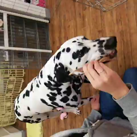 またまたノアくんの画像