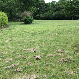 お勉強中ですの画像