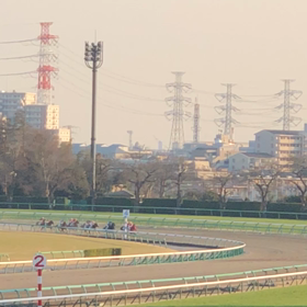 中山12R動画の画像