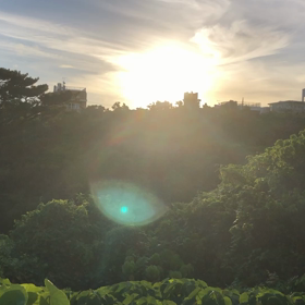 夏の沖縄の朝の画像