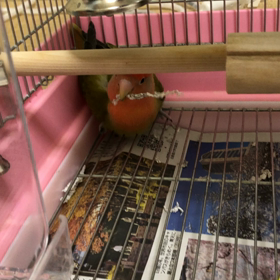 お風呂の防水工事の画像