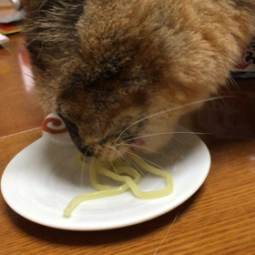 何でも食べまちゅの画像