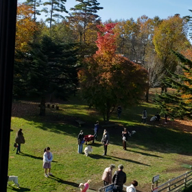 山中湖　⑦の画像