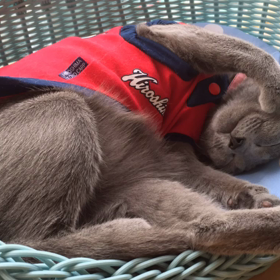 愛をからだに吹き込んでの画像