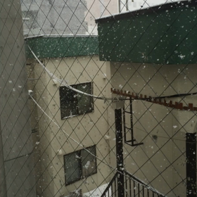 まだまだの画像