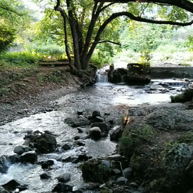 涼を求めて散歩の画像