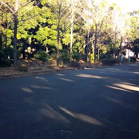 越谷春季記録会リレー選考会(男子)⑤の画像