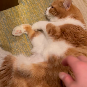 今ですよ！今の豆ちゃん！の画像