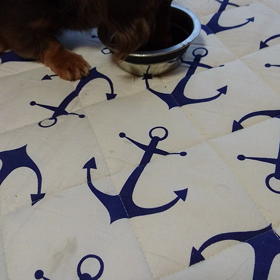 食べる速さ！！の画像