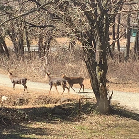 双方注意の画像