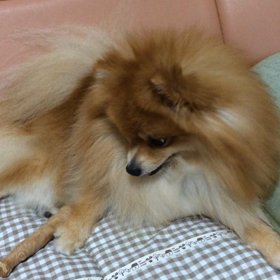 ひとり遊び〜^o^の画像