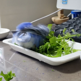 秋晴れの１日の画像