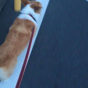 今日はビートルズ記念日の画像