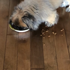 わざとバラバラ…許せん！の画像