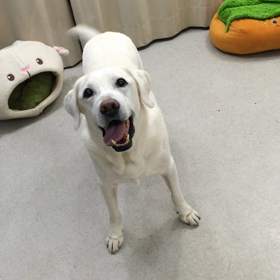 ♪プレイルーム動画♪②の画像