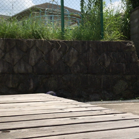 ハンドリング…の画像