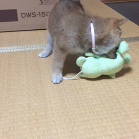 冬将軍到来❗️の画像