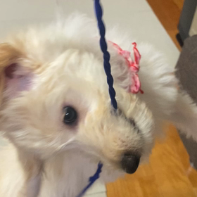 大好きなモノ❤️の画像