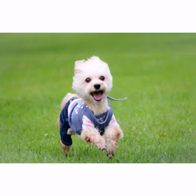 笑顔いっぱいの画像